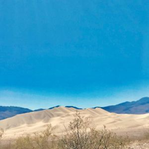 Meet your Posher, Roger